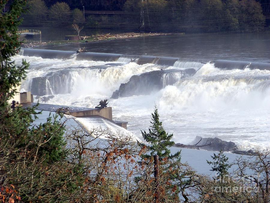 Willamette Falls Photograph by Charles Robinson
