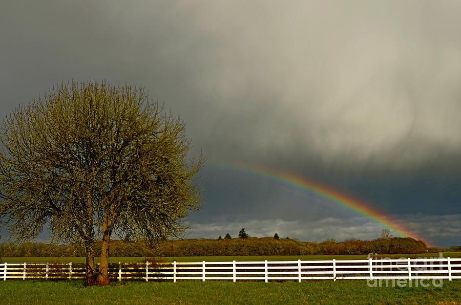 Willamette Valley Rainbow Landscape Photograph by Nick Boren