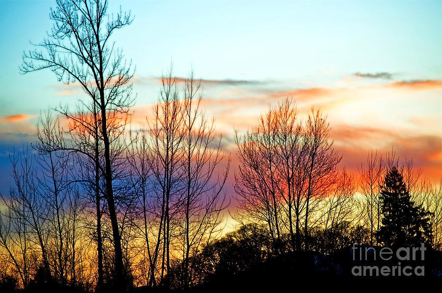 Willamette Valley Sunset Splendor Photograph by Gwyn Newcombe