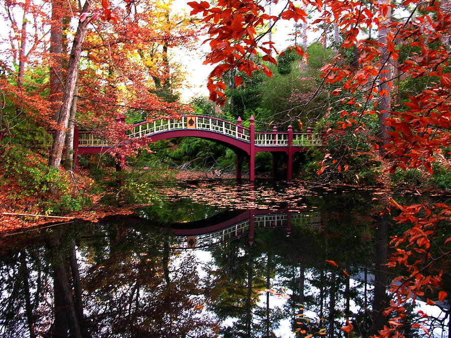 William and Mary College  Crim Dell Bridge Photograph by Jacqueline M Lewis
