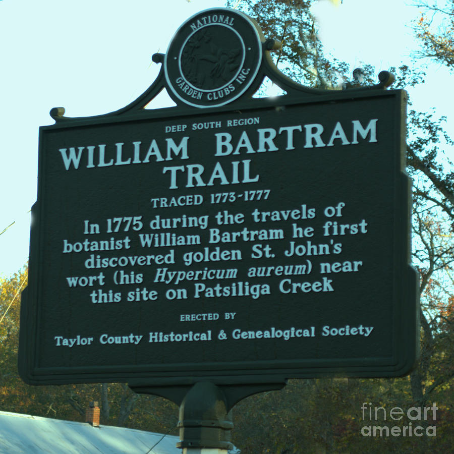 William Bartram Photograph by Donna Brown