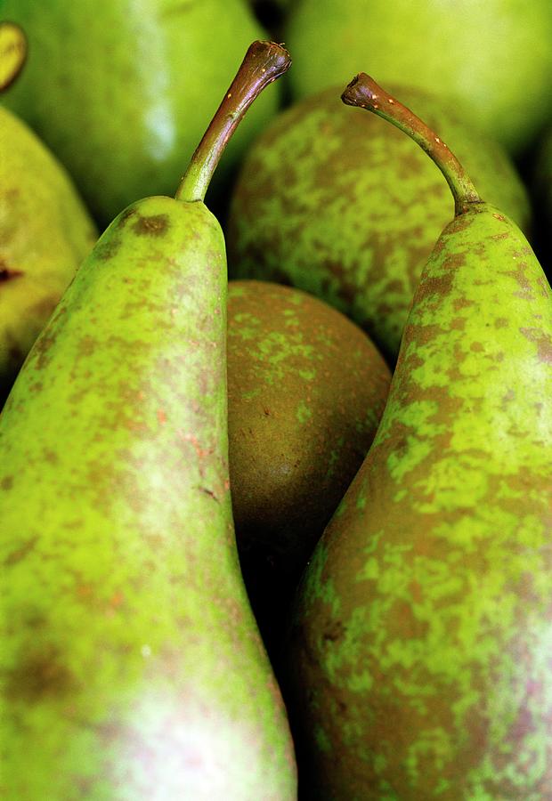 Williams Pears. Photograph by Steve Taylor/science Photo Library