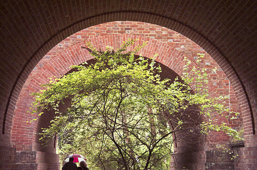 Williamsburg Arches Photo Photograph by Peter J Sucy