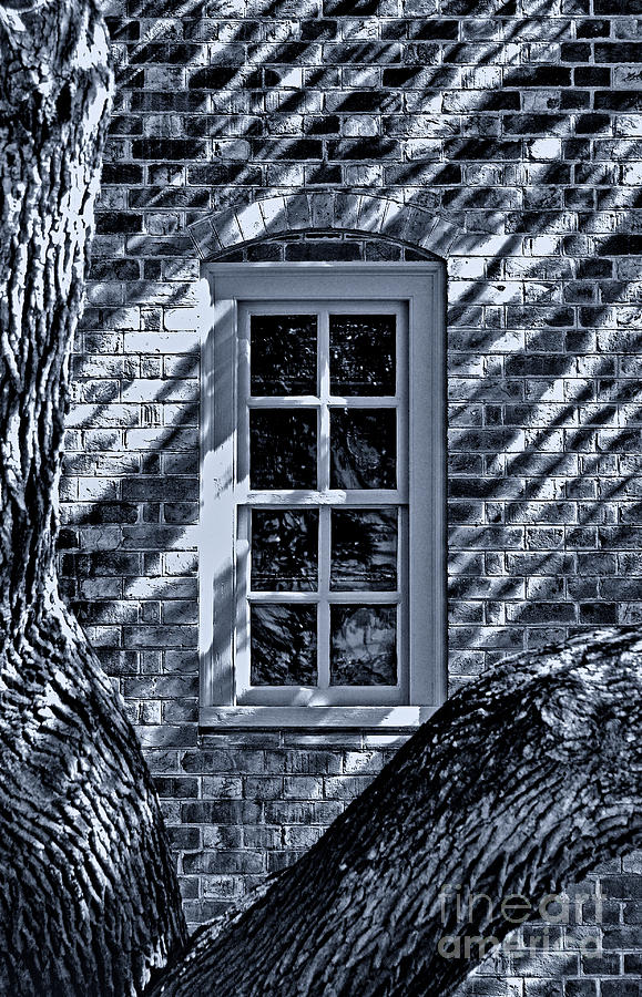 Williamsburg Window Photograph by Nigel Fletcher-Jones