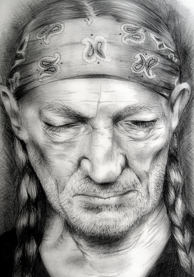 Willie Drawing - Willie by Stephanie LeVasseur Willie Drawing - Willie by Stephanie LeVasseur