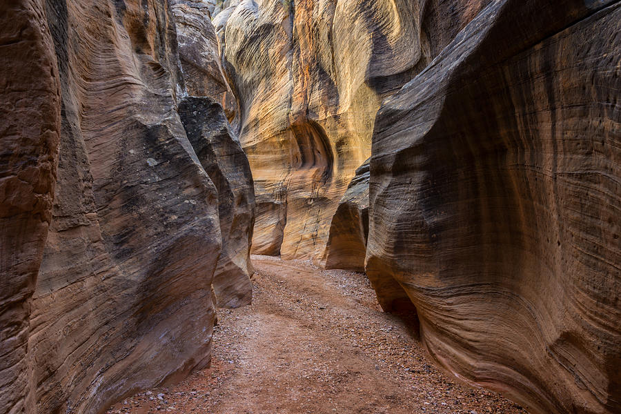 Willis Creek Slot Canyon 5 - Grand Staircase Escalante National Monument Utah Photograph by Brian Harig