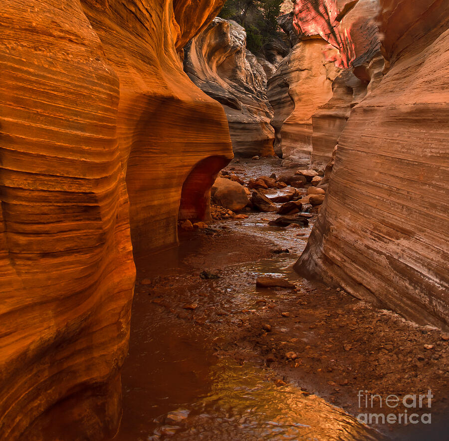 Willis Creek Slot Canyon Photograph by Robert Bales