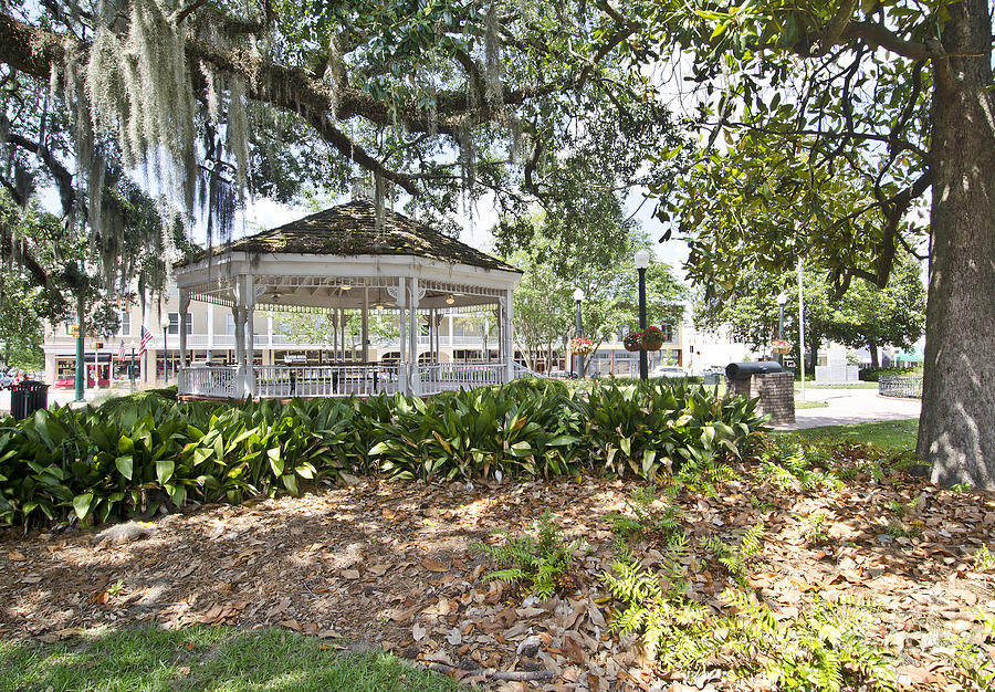 Attractive Photograph - Willis Park Gazebo by Debra Johnson Attractive Photograph - Willis Park Gazebo by Debra Johnson