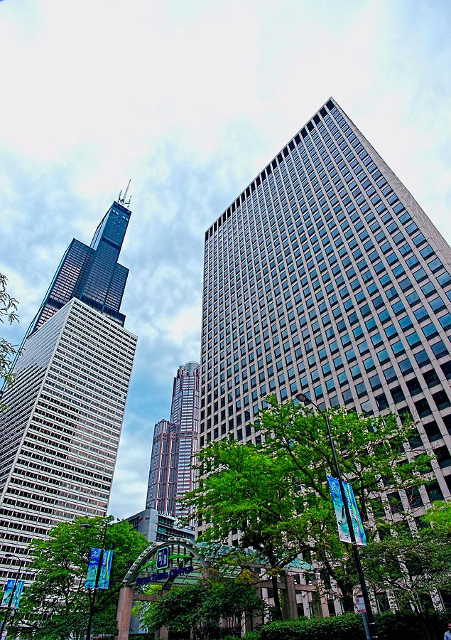 Willis Tower Photograph by Jenny Hudson