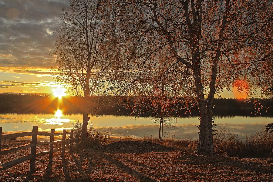 Sunset Photograph - Willow Autumn by Donna Quante