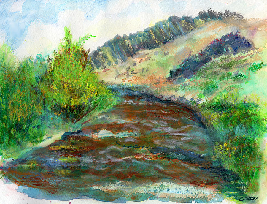 Willow Creek in Spring Painting by C Sitton