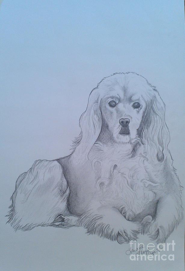Golden Cocker Spaniel Drawing - Willow by Laurrie Lloyd