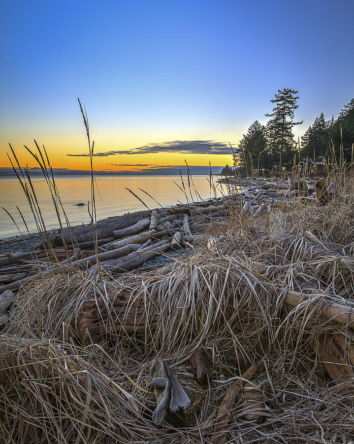 Willow Sunrise Photograph by Jordon Ozero Fine Art America