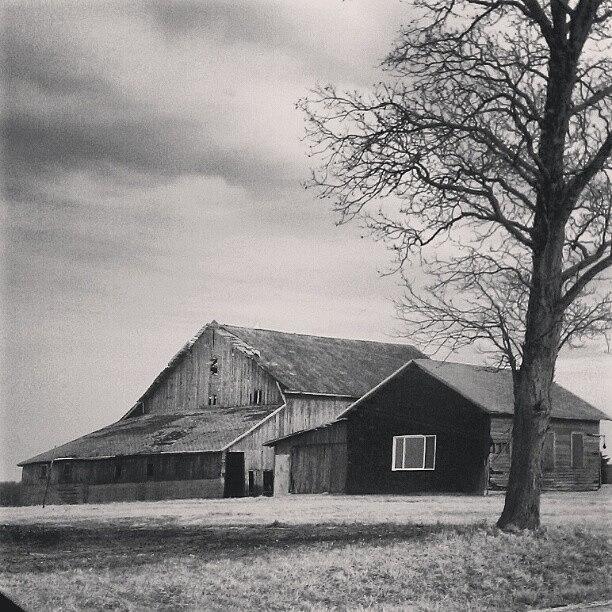 Farm Photograph - #willow #willowfilter #farm by Kendra Lipscomb