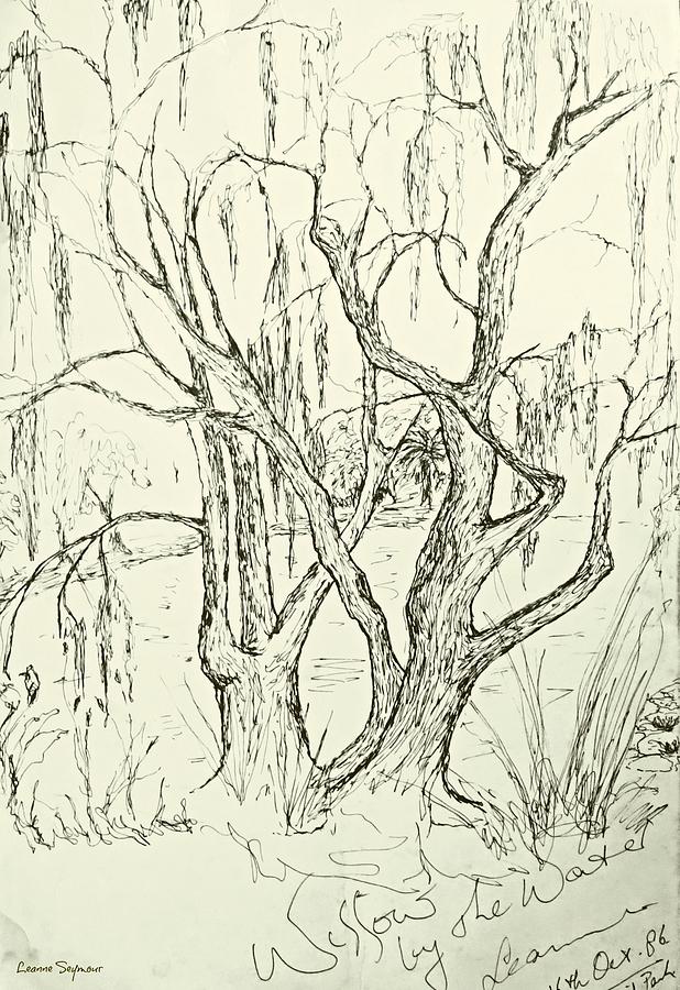 Willows By The Lake Drawing by Leanne Seymour