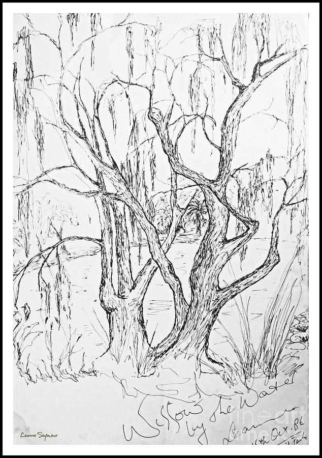 Willows By The Lake - Within Border Drawing by Leanne Seymour