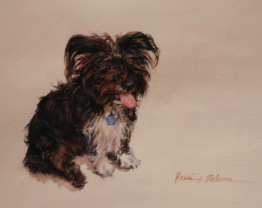 Willy the Dog Painting by Heidi E Nelson