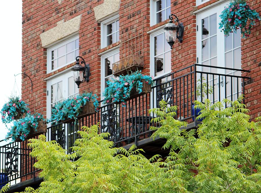 Blue Flowers On A Balcony  Photograph by Cynthia Guinn