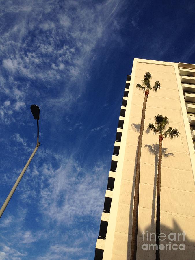 Wilshire Palms Photograph by Nora Boghossian