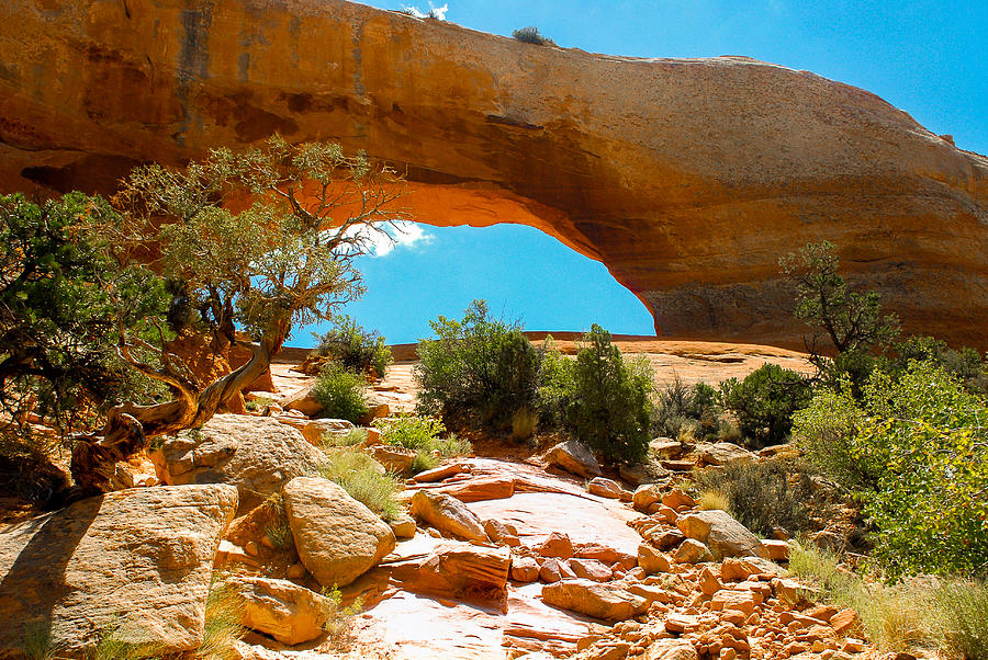 Mountain Photograph - Wilson Arch - Utah by Dany Lison