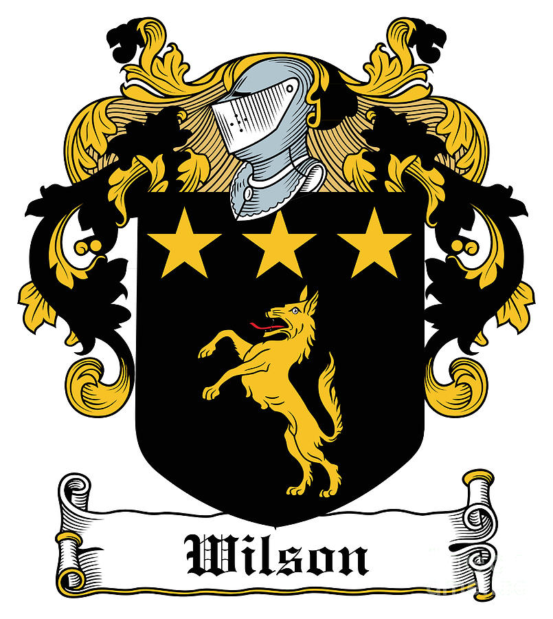 Wilson Digital Art - Wilson Coat of Arms III Irish by Heraldry