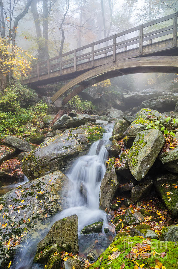 Wilson Creek Mist Photograph by Anthony Heflin