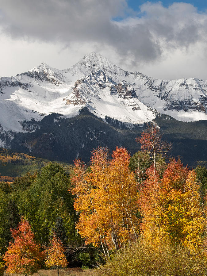 Wilson Peak Colorado Photograph by Aaron Spong