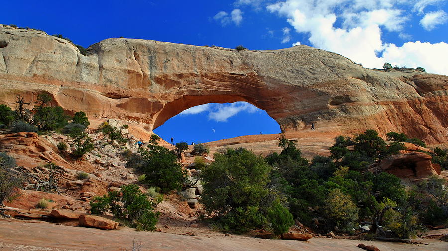 Wilsons Arch Utah Photograph by Nathan Abbott