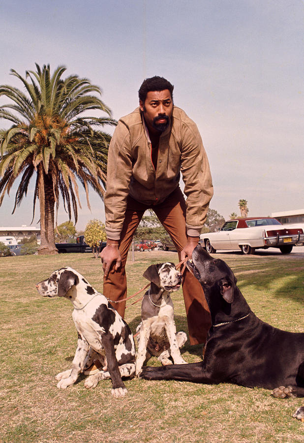 Football Photograph - Wilt Chamberlain With Dogs by Retro Images Archive