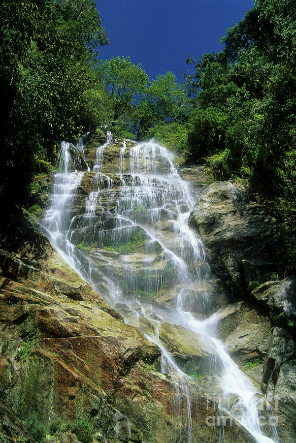 Jungle Photograph - Winay Wayna waterfall by James Brunker