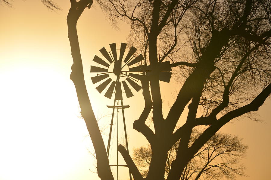Spinning In The Sundown Photograph by Clarice Lakota