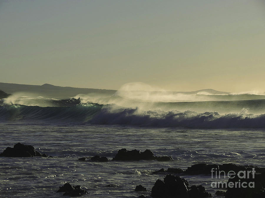 Wind and Waves Photograph by Bette Phelan