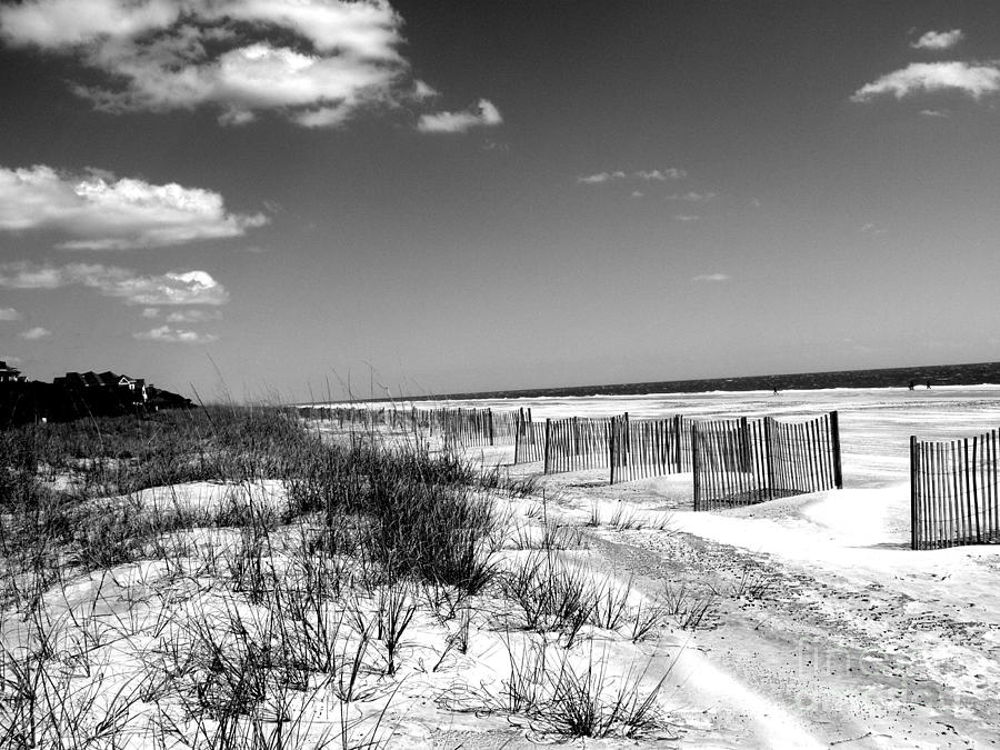 Wind Blowing Across The Sand 1-3 Photograph by Cat McBrien - Fine Art ...