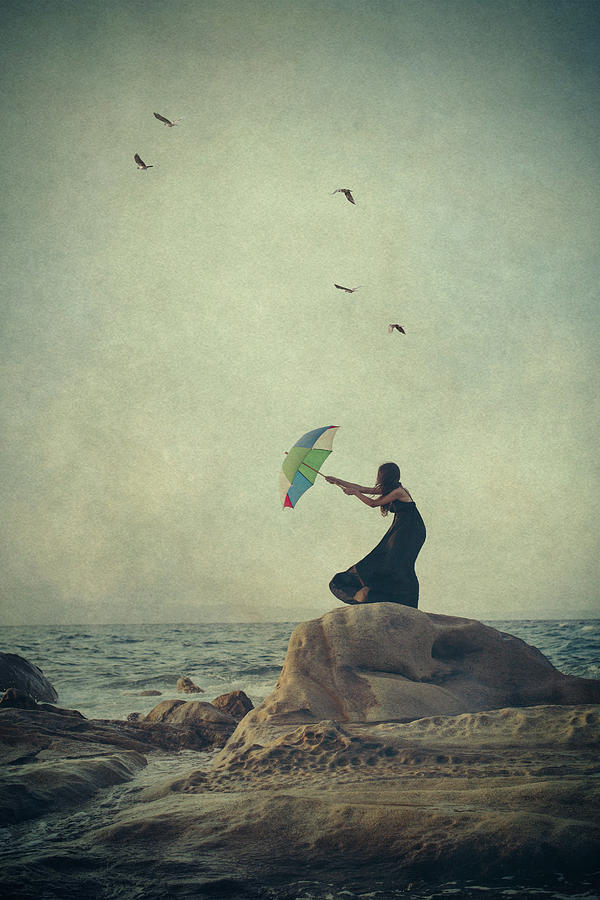 Wind Catcher Photograph by Svetlana Bekyarova