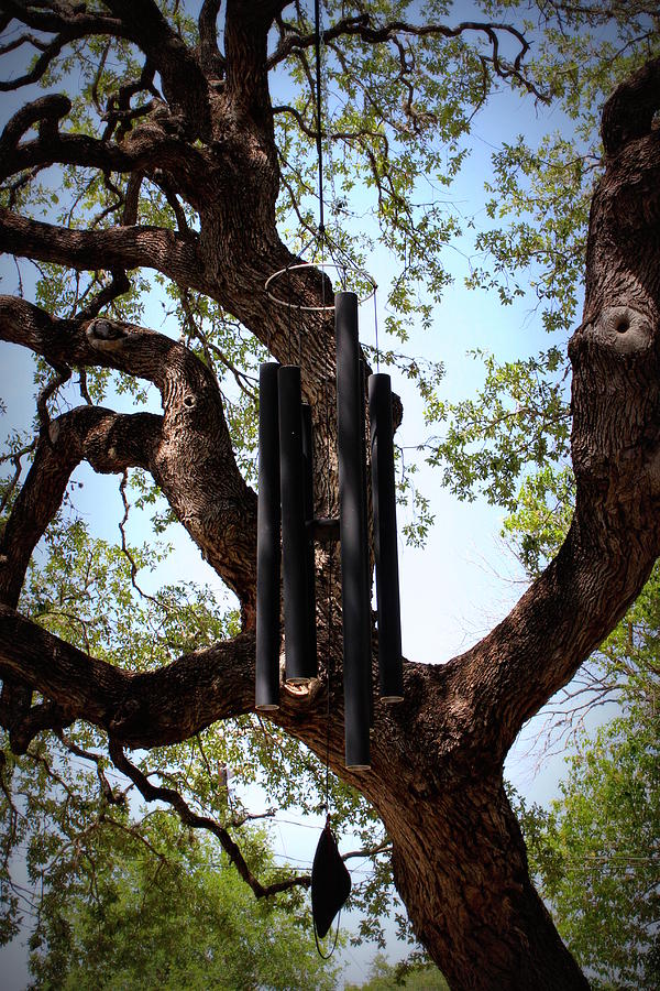Wind Chime Photograph by Beth Vincent