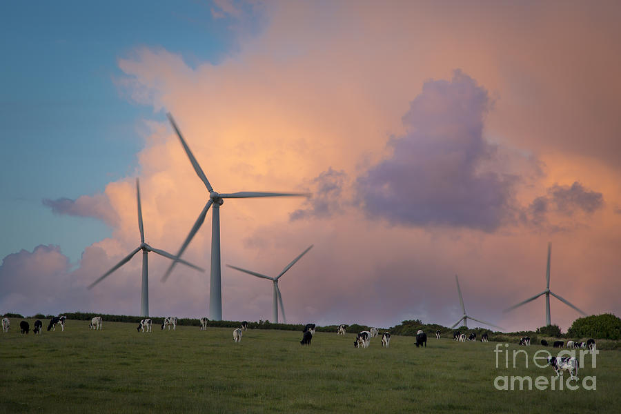 Wind Farm Photograph by Brian Jannsen