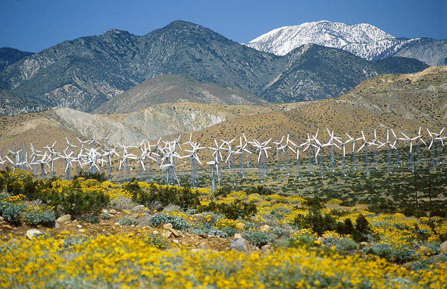 Wind Farm In Southern California Photograph by Greg Ochocki