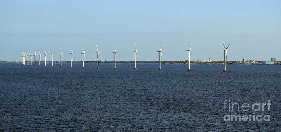 Wind Farm Line Copenhagen Photograph by Tom Wurl