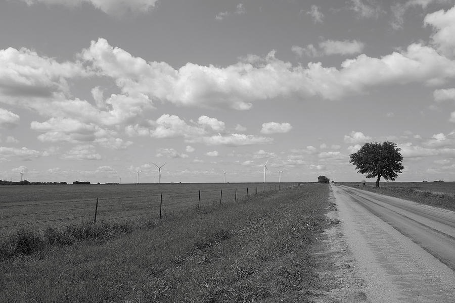 Wind Farm on the Prairie Black and White Photograph by Ann Powell