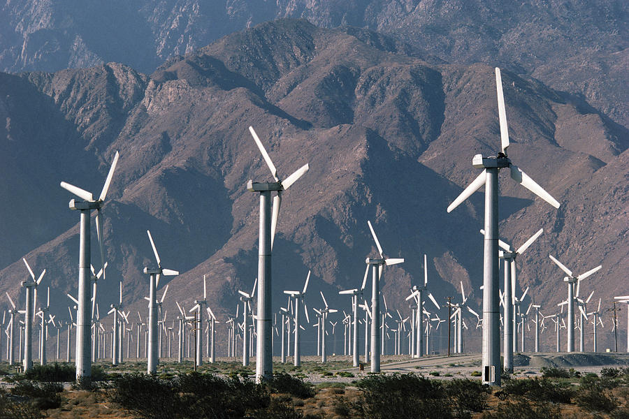 Wind Farm Producing Electricity Photograph by Peter Menzel/science Photo Library