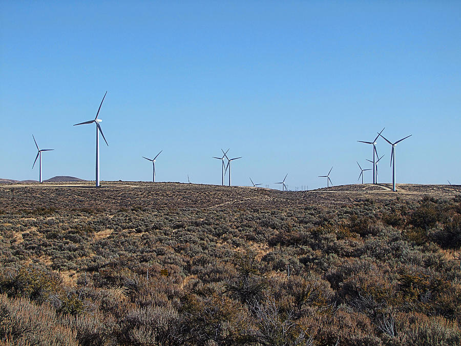 Wind Photograph - Wind Farm by Ron Roberts