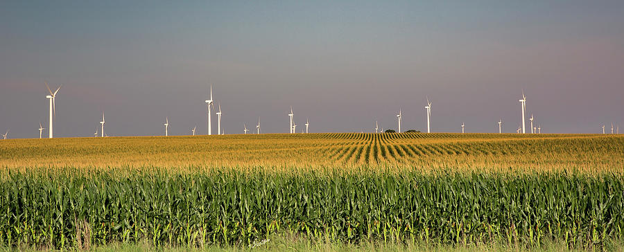 Wind Farm Turbines In Iowa Photograph by Science Photo Library Wind Farm Turbines In Iowa Photograph by Science Photo Library