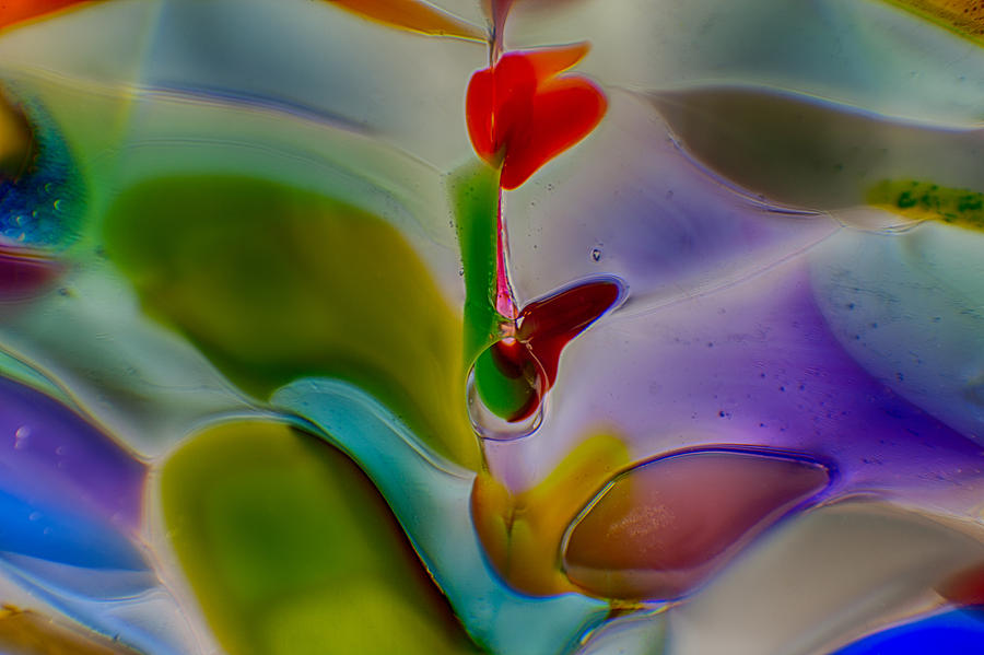 Abstract Photograph - Wind Flower by Omaste Witkowski