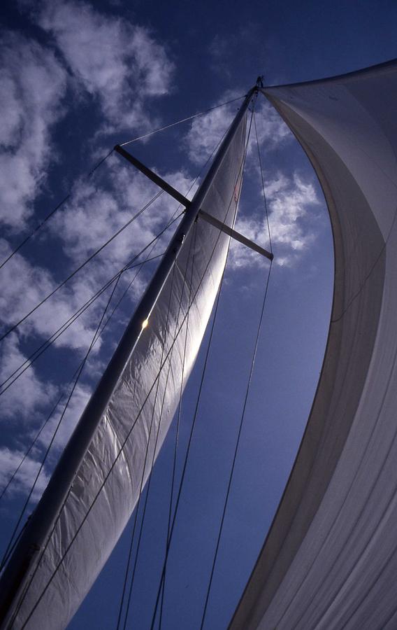 Wind in our sails Photograph by John Schneider