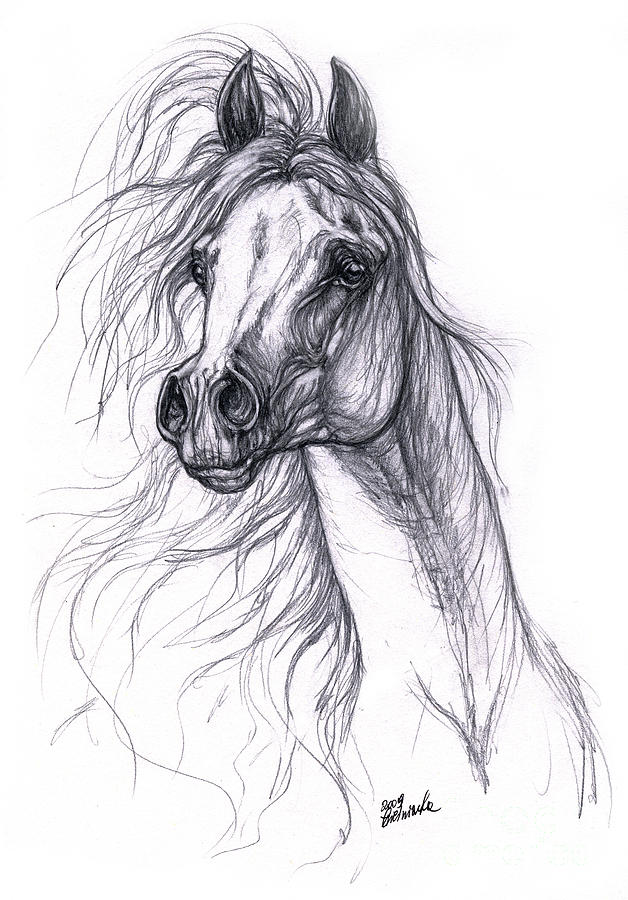 Wind In The Mane 2 Drawing by Angel Tarantella