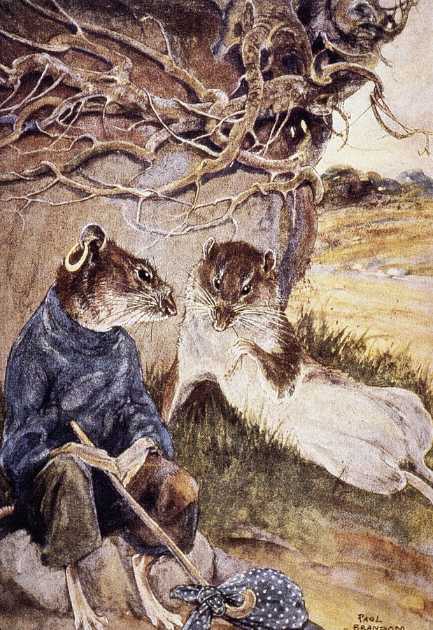 wind In The Willows Drawing by Granger