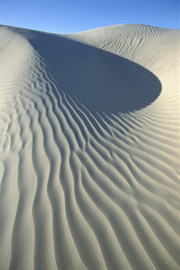 Wind Patterns In Dunes Magdalena Island Photograph by Tui De Roy
