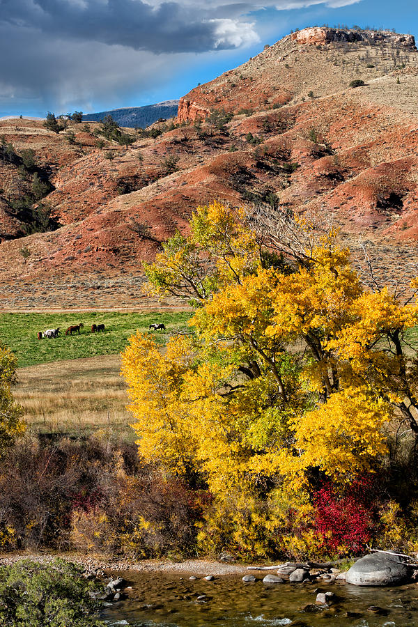 Wind River Horse Ranch in Autumn Photograph by Kathleen Bishop