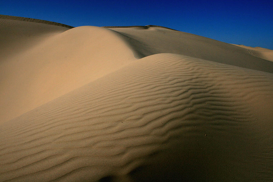 Wind Sculpted Dunes Photograph by Scott Cunningham