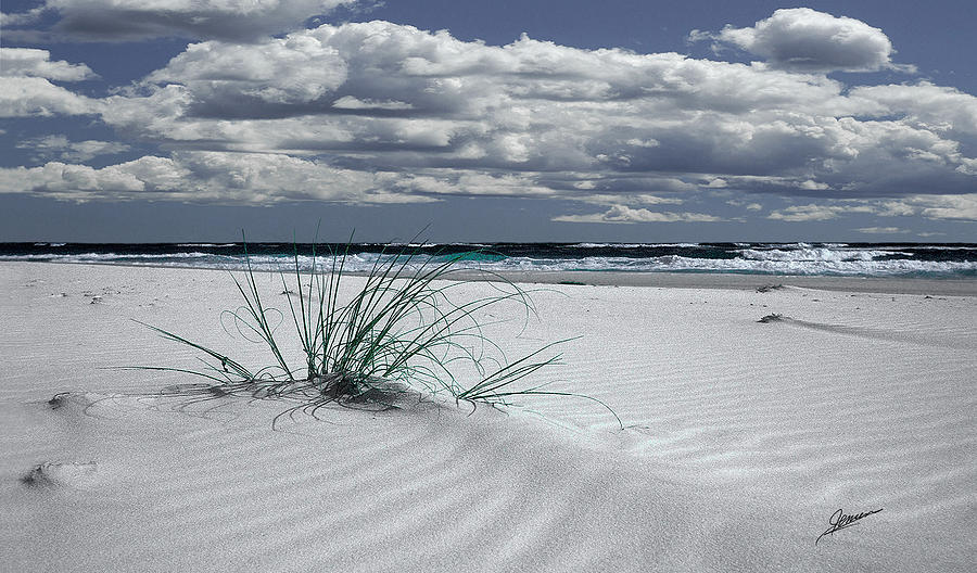 Wind Sculptured Beach Photograph by Phil Jensen